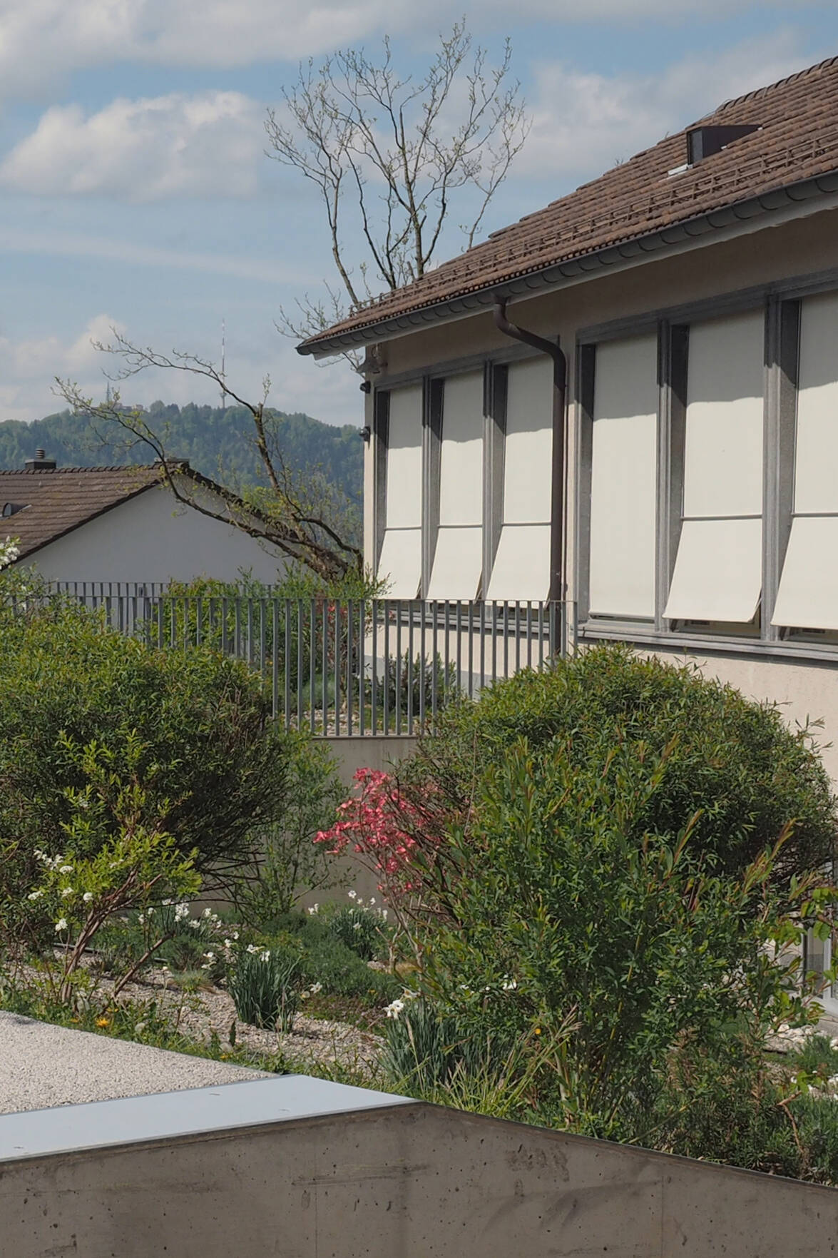 Begehbare, begrünte Böschung vor Klassenzimmer