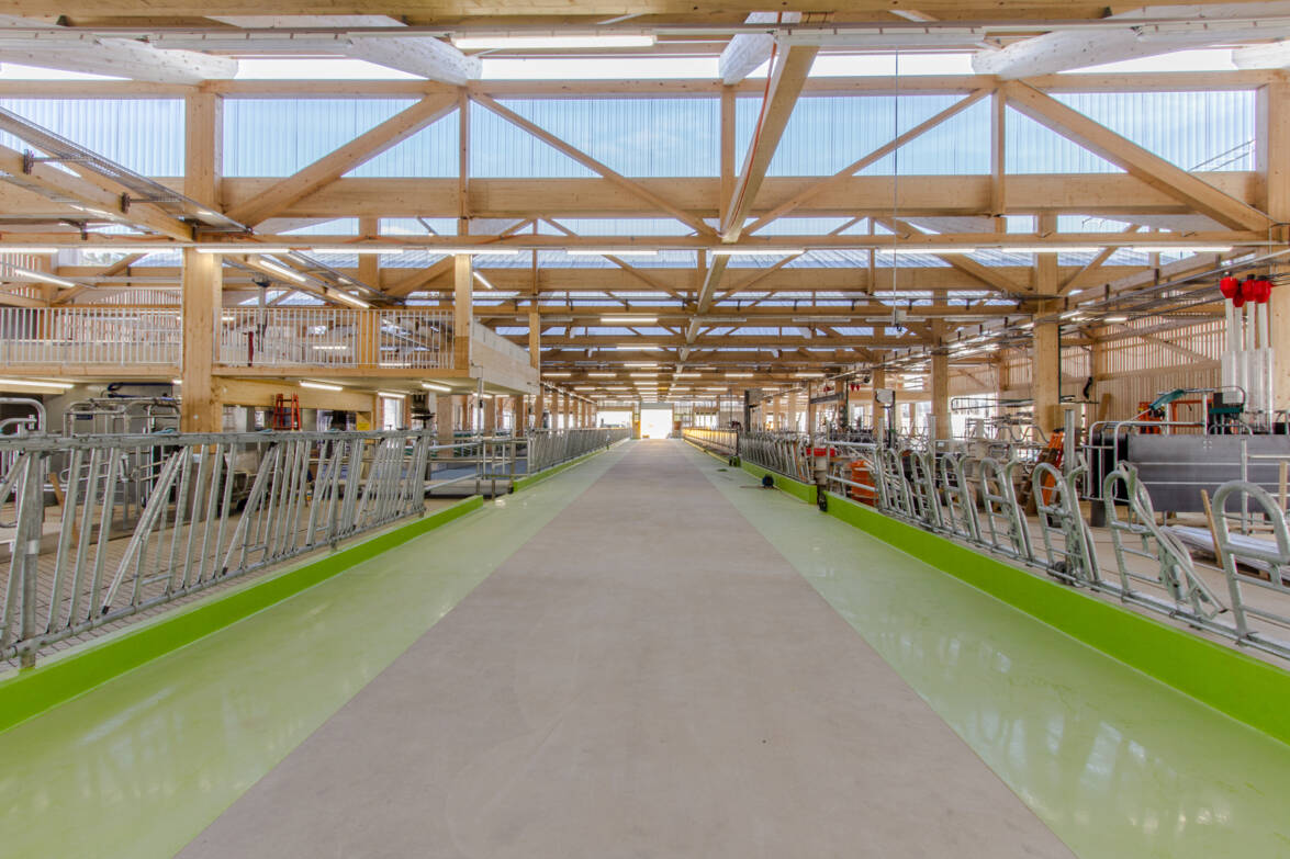 Stall mit Futterstellen